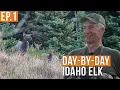 We Found Them Idaho Backcountry Elk Hunt Ep 1