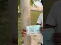 Download Lagu Jisko lena ho jakar lelo💰#vlogs #provlogs #shorts