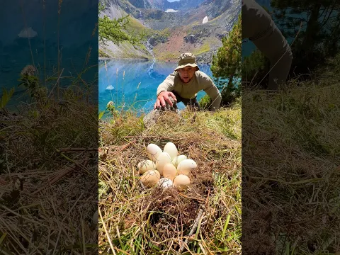 Восточный Казахстан 😍🇰🇿
