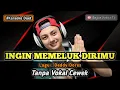 Lagu Ingin memeluk dirimu - karaoke duet tanpa vokal cewek dangdut koplo