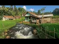 Download Lagu Dijamin Hidup Tenang‼️Tinggal Di Kampung Indah Dekat Sungai Deras