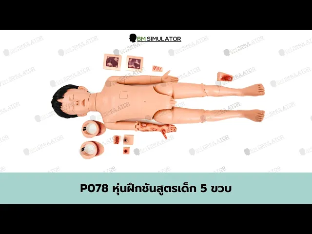 P078 หุ่นฝึกชันสูตรเด็ก 5 ขวบ