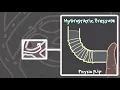 Hydrostatic and osmotic pressure | Introduction to #edema