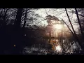 Moderat  -  Let in the light