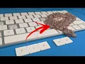 How to Remove and Clean Sticky Keys on Apple Magic Keyboard 2 Step by Step Repair Detailed Fix