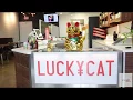 Lucky Cat Rolls Into Homewood AL
