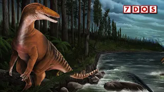 An Ancient Megaraptor Has Been Discovered in Australia | 7 Years of Science