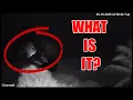 Mystery Objects Captured on Florida Beach Webcam