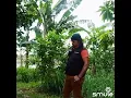 Download Lagu RHOMA IRAMA BARU-HARTA DAN SYURGA