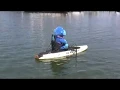 Blue Monkey B 2