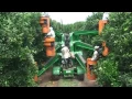 Download Colheita Mecanizada de Laranja - Schülter mp4 3gp mp3 videos - waplic