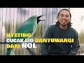 NYETING CUCAK IJO BANYUWANGI DARI NOL