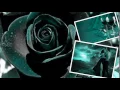 Une rose d´Amour