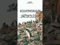 Download Lagu Quran surah 28 | surah al qasas ayat 85 | #quran