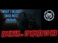 Download Lagu The Ones That Spoke : Dogman Encounters With A Voice 