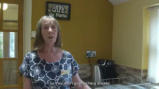The Post Office Inside a Kitchen Places of the Post Office Episode 3