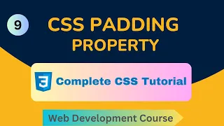 CSS Padding Property Web Development Course