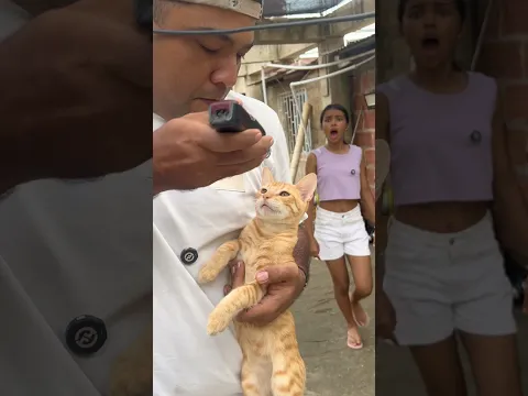 Hermoso el Gato del Vecino  #humor
