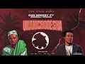 Don Breezy Feat . Msomali Vitamin -Unanichoresha ( Official Music Audio )