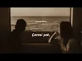Cihan Mürtezaoğlu - Bir Beyaz Orkide (Lyrics)