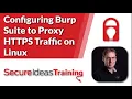 Configuring Burp Suite to Proxy HTTPS Traffic on Linux