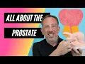 Prostate Health Pleasure Everything You Need to Know