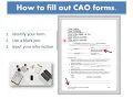 Court Assistance Office Forms