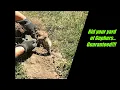 Guaranteed easy way to get rid of gophers from damaging your yard Gopher trapping techniques