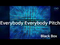 Black Box - Everybody Everybody (Pitch)