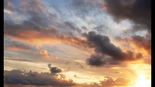 Брат Мечо ех човече къде вървиш 