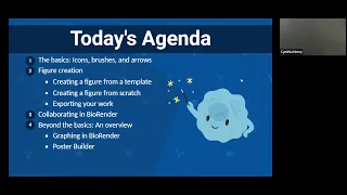 BioRender Basics