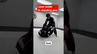Spider Guard FREE Videos – Best BJJ Techniques & Guides 🕷️