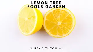 Download Lemon Tree - Fools Garden (Guitar Tutorial) Easy Chords MP3