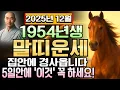 갑오년생 말띠운세 1954년 72세 12월 을사년 명예와 부 동시 획득! 말띠 사회적 인정받고 재물도 따르며 존경과 돈 함께 얻는 완벽한 성공입니다