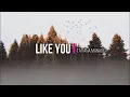 Like You | Tatiana Manaois (LYRIC VIDEO)