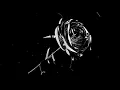 Download Lagu pop smoke - dior (slowed \u0026 reverb)