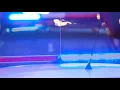 Authorities investigating Grand Junction homicide