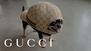 GucciCore
