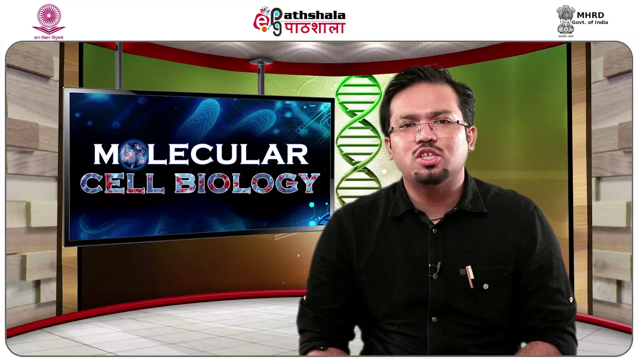 Cell Regulatory Mechanisms: Chromatin Remodeling