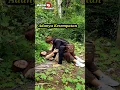 Download Lagu DEMI DAPAT UANG DENGAN MUDAH #shortsviral #shortsterbaru