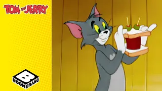 tom and spikes big competition pet peeve tom u0026 jerry boomeranguk