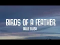 Download Lagu Billie Eilish - BIRDS OF A FEATHER