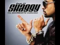 Download Lagu Shaggy feat Gare Nesta Pine - Fly high (new singol) - con testo - HQ
