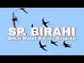 SP. BIRAHI Bikin Walet Kejar Kejaran