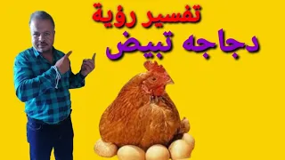 تفسير حلم رؤية دجاجه تبيض للرجل والمتزوجه والحامل والعزباء والمطلقه والارمله 