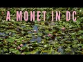 Download Lagu Trump returns and we go play in a Monet.