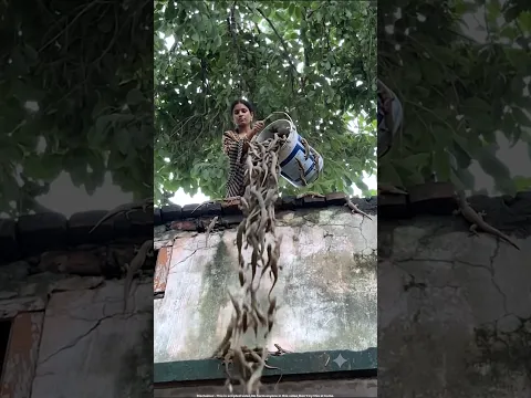 दुर्गा माँ और काली लड़की || माता रानी और भक्त || सास के साथ ये क्या किया 😱 ||