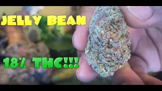 Weed Smoking Session - Jelly Bean aka Jilly Bean