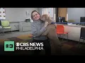 ACCT Philly shelter over capacity introduces you to dogs in need of adoption