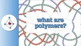 What are polymers